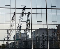 Cranes