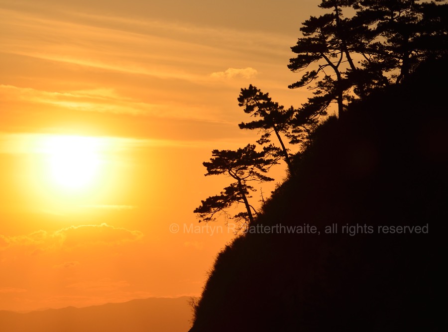 Kamakura Evening 2