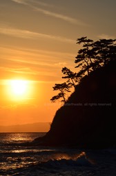Kamakura Evening 2