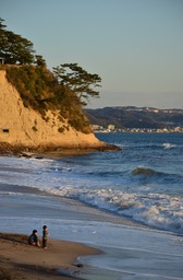 Sagami Beech
