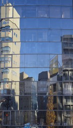 Tokyo Windows